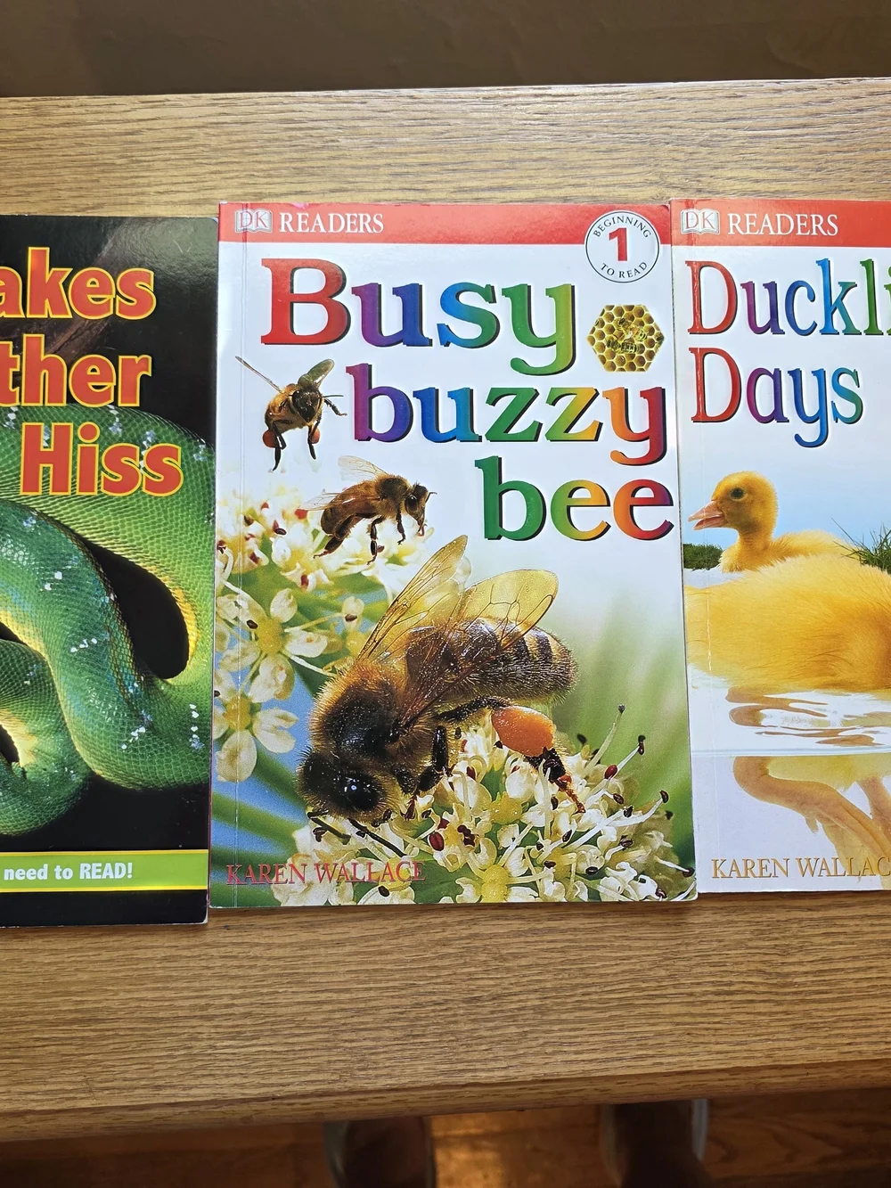 Busy Buzzy Bee and two other natural titles by DK Level 1 readers